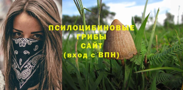 каннабис Арсеньев
